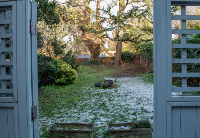 Apartment in Ipswich - 2 Bed/2 Bath, Nr Christchurch Park, (Grd Flr) Apartment in Ipswich - 2 Bed/2 Bath, Nr Christchurch Park, (Grd Flr)